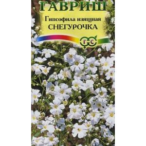 Гипсофила Снегурочка 0,1г изящная Гавриш