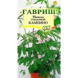 Мимоза стыдливая Кампина 0,1 г Гавриш