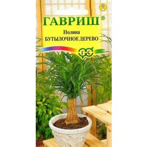 Нолина Бутылочное дерево 3шт Гавриш