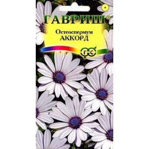 Остеоспермум Аккорд  0,1 г Гавриш