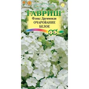 Флокс Очарование белое 0,05г Гавриш