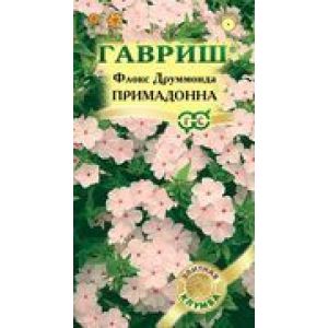 Флокс Примадонна друммонда 8шт Гавриш