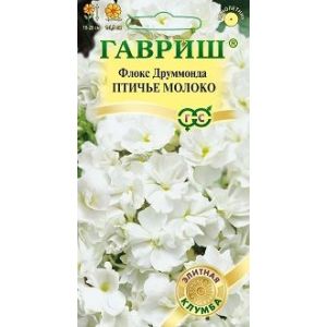 Флокс Птичье молоко 8шт Гавриш