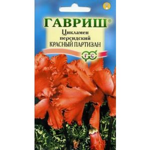 Цикламен Красный партизан персидский 3 шт Гавриш