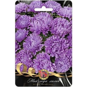 Астра Май Леди Лилак 30шт Биотехника