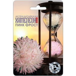 Астра Хамелеон Селект Пинк Фрост 30шт Биотехника