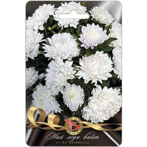 Астра Май Леди Вайт 30шт Биотехника