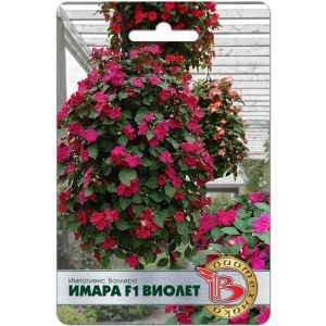 Импатиенс Имара Виолет 8шт Биотехника Бальзамин