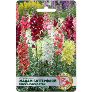 Львиный зев Мадам Баттерфляй 15шт Биотехника Антирринум