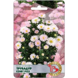 Астра Трубадур Софт Роз 20шт Биотехника