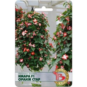 Импатиенс Имара Оранж Стар 8шт Биотехника Бальзамин