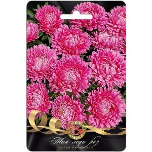 Астра Май Леди Роз 30шт Биотехника