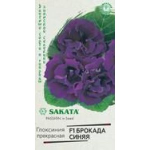 Глоксиния Брокада синяя 5шт Гавриш