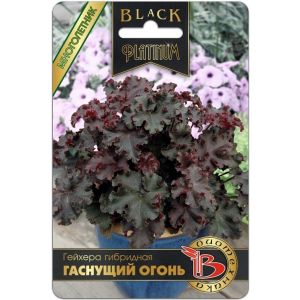 Гейхера Гаснущий огонь 8шт Биотехника