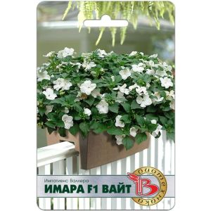 Импатиенс Имара F1 Вайт 8шт Биотехника Бальзамин