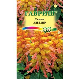 Сальвия Альтаир 5 шт Гавриш