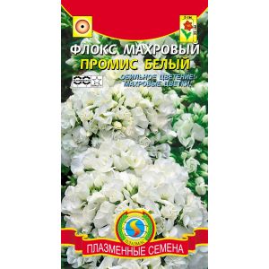 Флокс Промис белый махровый 5 шт Агроника