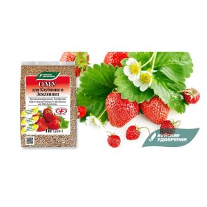 ОМУ для Клубники и Земляники 1кг БХЗ