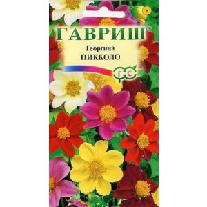 Георгина Пикколо 0,3г Гавриш
