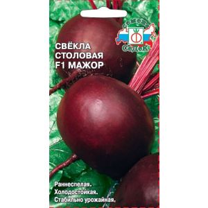 Свёкла Мажор F1 1г Седек 38р