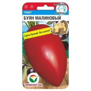 Томат Буян Малиновый 20шт Сиб Сад