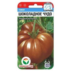 Томат Шоколадное чудо 20шт Сиб сад
