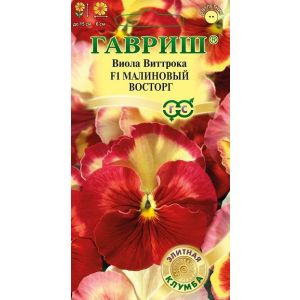 Виола Малиновый восторг 5шт Гавриш