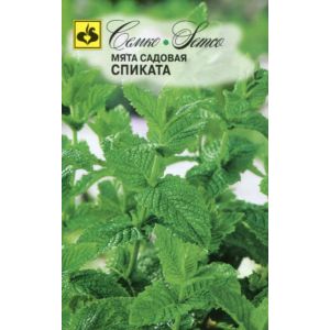 Мята Спиката садовая 0,05г Семко