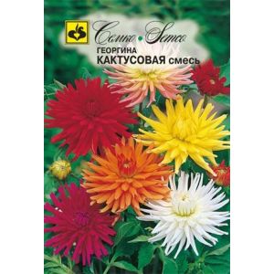 Георгина Кактусовидная смесь