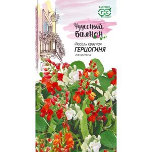 Фасоль Герцогиня декоративная 5шт Гавриш