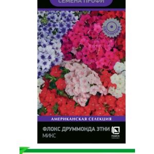 Флокс Этни Микс Профи 10шт Поиск