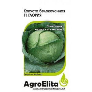 Капуста б/к Глория F1 10 шт. (Сингента) АгроЭлита