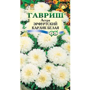 Астра Эрфуртский карлик белая 0,3г Гавриш