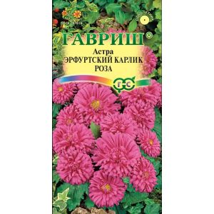 Астра Эрфутский карлик Роза 0,3 г Гавриш