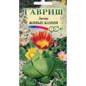 Литопс Живые Камни 5шт Гавриш