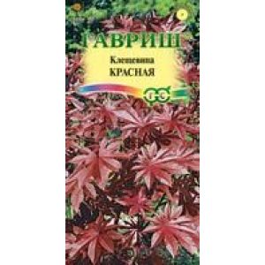 Клещевина Красная  5 шт Гавриш