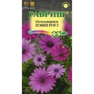 Остеоспермум Пэшн Роуз 3шт Гавриш