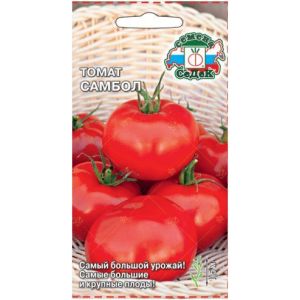 Томат Самбол 0,1г Седек