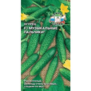 Огурец Музыкальные Пальчики F1 0,2г Седек