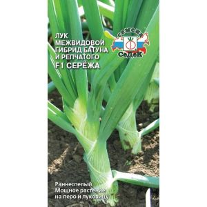Лук батун Серёжа F1 0,3г Седек 40р