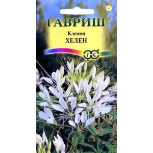 Клеома Хелен 0,3 г Гавриш