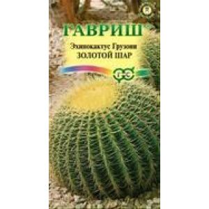 Эхинокактус Золотой Шар Грузона 4шт Гавриш