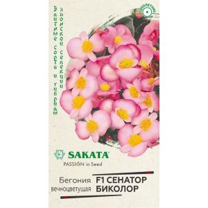 Бегония Сенатор биколор 4шт Гавриш