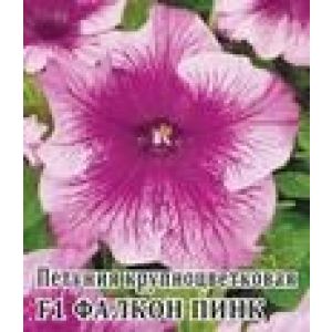 Петуния Фалкон Пинк F1 крупноцв. 100шт. Гавриш сер. Профи