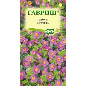Бакопа Ассоль 3шт Гавриш