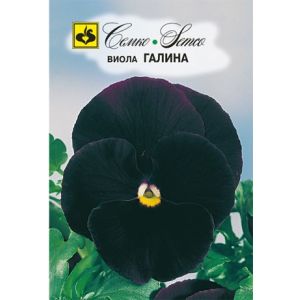 Виола Галина 0,1г Семко