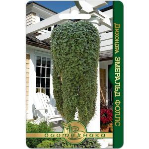 Дихондра Эмеральд Фоллс 5шт Биотехника