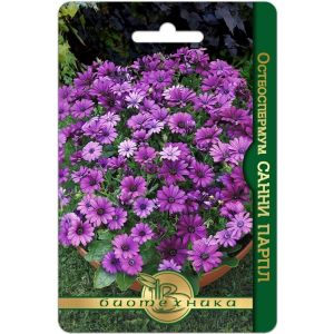 Остеоспермум Санни Парпл 5шт Биотехника