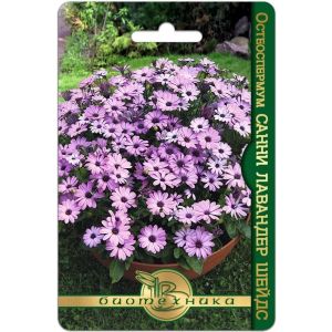 Остеоспермум Санни Лавандер Шейдс 5шт Биотехника