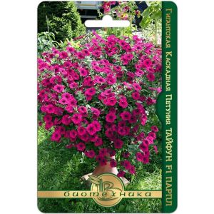 Петуния Тайфун F1 Парпл гигантская каскадная 5шт Биотехника
